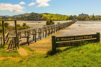 Rocky_Bay;Northland;sandy_beaches;bachs;holiday_homes;bush;native_forrest;golden